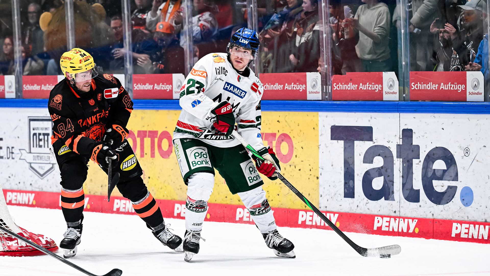 Löwen Frankfurt gg. Augsburger Panther